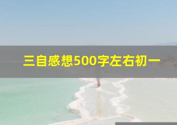 三自感想500字左右初一