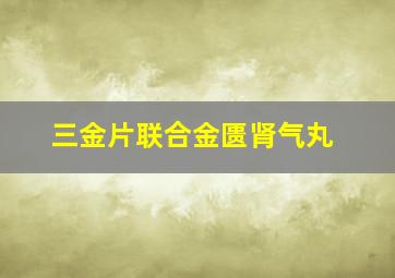 三金片联合金匮肾气丸