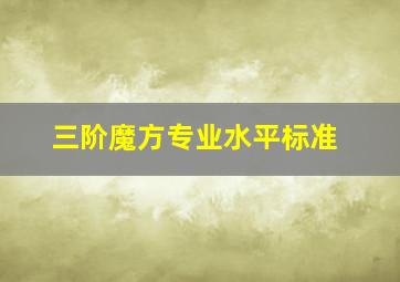 三阶魔方专业水平标准