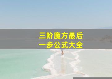 三阶魔方最后一步公式大全