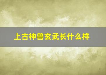 上古神兽玄武长什么样