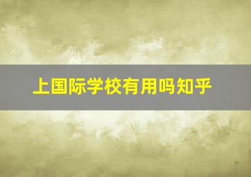 上国际学校有用吗知乎