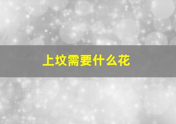 上坟需要什么花