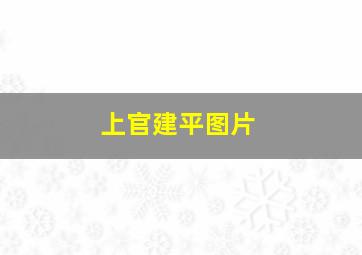 上官建平图片