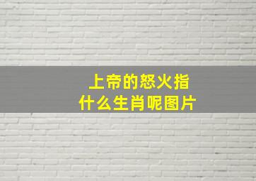 上帝的怒火指什么生肖呢图片