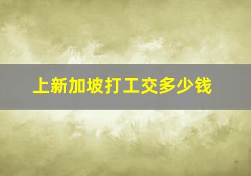 上新加坡打工交多少钱