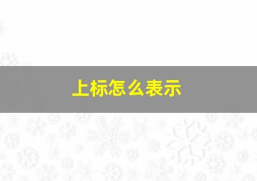 上标怎么表示