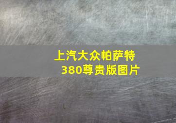 上汽大众帕萨特380尊贵版图片