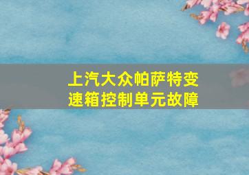 上汽大众帕萨特变速箱控制单元故障