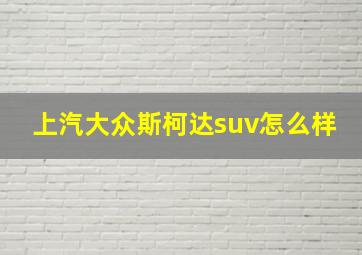 上汽大众斯柯达suv怎么样