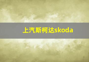 上汽斯柯达skoda