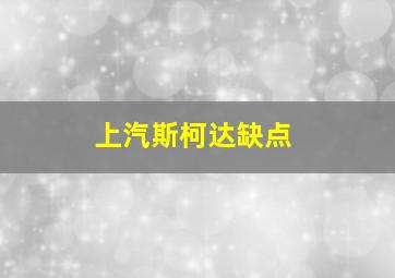 上汽斯柯达缺点