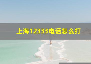 上海12333电话怎么打