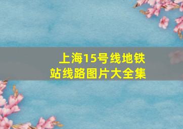 上海15号线地铁站线路图片大全集