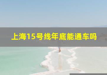 上海15号线年底能通车吗