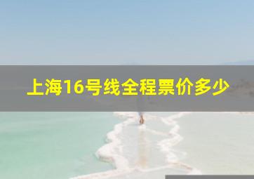 上海16号线全程票价多少