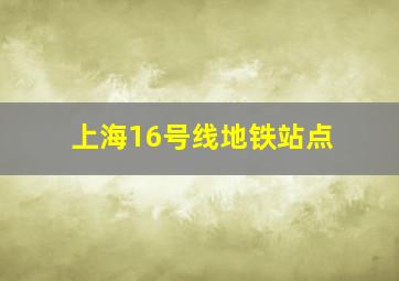 上海16号线地铁站点