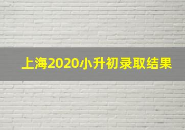 上海2020小升初录取结果