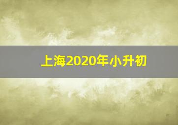 上海2020年小升初