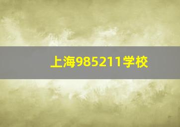 上海985211学校