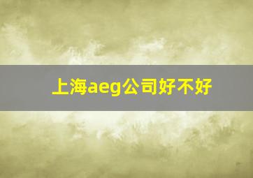 上海aeg公司好不好