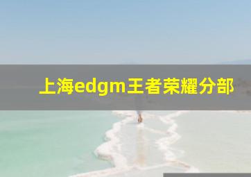 上海edgm王者荣耀分部