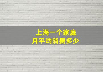 上海一个家庭月平均消费多少