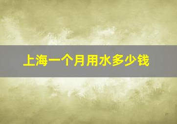 上海一个月用水多少钱