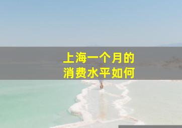 上海一个月的消费水平如何