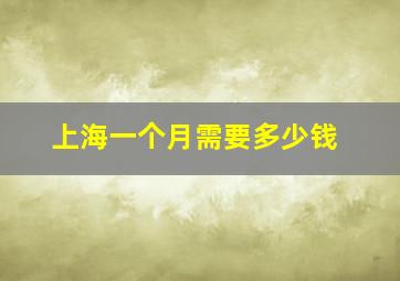 上海一个月需要多少钱