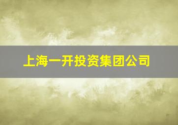 上海一开投资集团公司