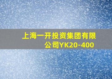 上海一开投资集团有限公司YK20-400