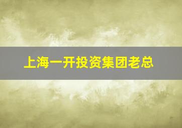 上海一开投资集团老总