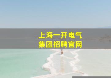 上海一开电气集团招聘官网