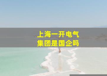 上海一开电气集团是国企吗