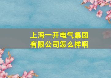 上海一开电气集团有限公司怎么样啊