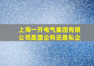 上海一开电气集团有限公司是国企吗还是私企