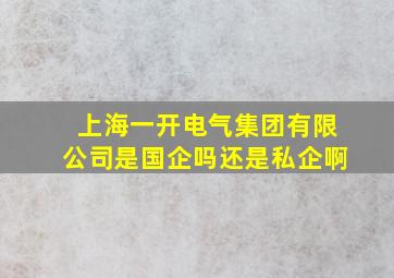 上海一开电气集团有限公司是国企吗还是私企啊