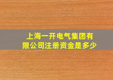 上海一开电气集团有限公司注册资金是多少