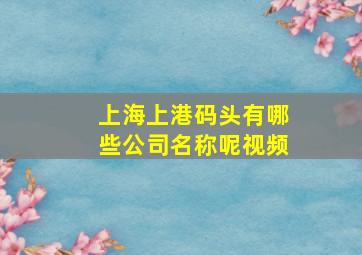 上海上港码头有哪些公司名称呢视频