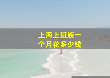 上海上班族一个月花多少钱