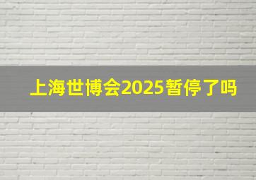 上海世博会2025暂停了吗