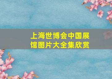 上海世博会中国展馆图片大全集欣赏