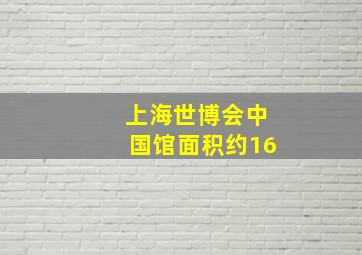 上海世博会中国馆面积约16