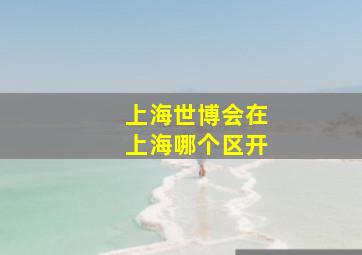 上海世博会在上海哪个区开