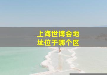 上海世博会地址位于哪个区