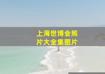 上海世博会照片大全集图片