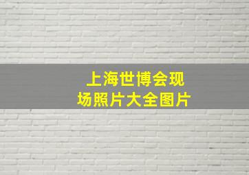 上海世博会现场照片大全图片