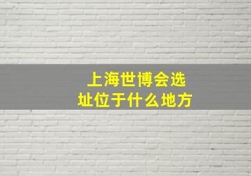 上海世博会选址位于什么地方