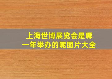 上海世博展览会是哪一年举办的呢图片大全